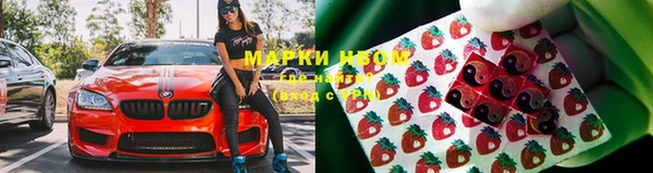 индика Балахна