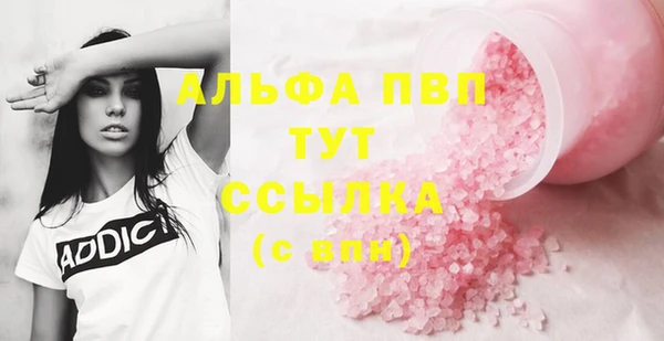 индика Балахна