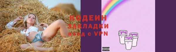 индика Балахна