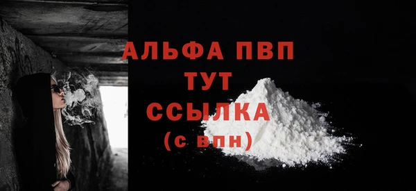 индика Балахна