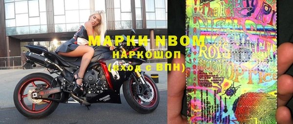 индика Балахна