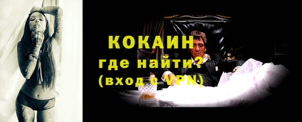 индика Балахна