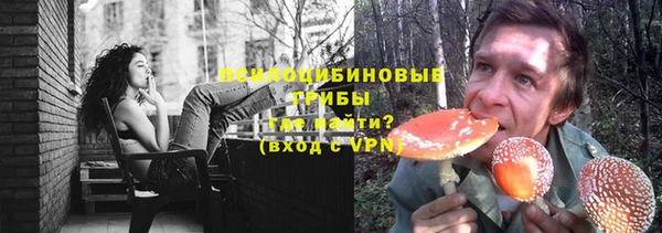 гашик Баксан