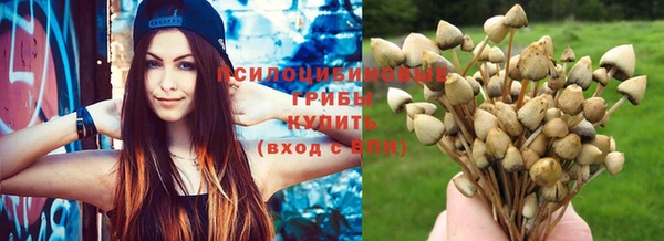 индика Балахна