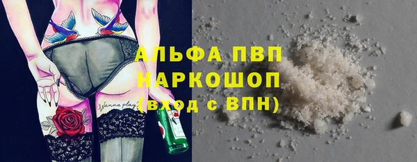 гашик Баксан