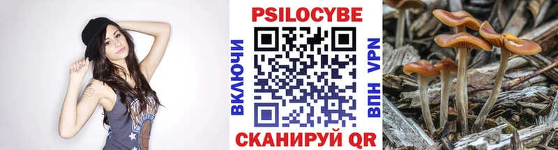 Галлюциногенные грибы MAGIC MUSHROOMS  Ленинск 